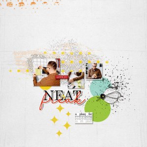 neat freak