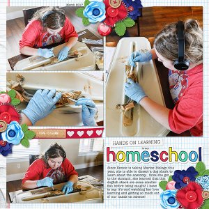 Homeschool Science