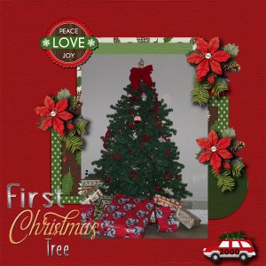 First Christmas Tree