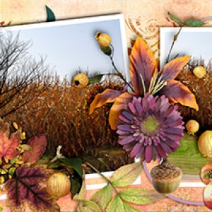 November header