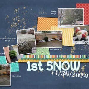 1st Snow 11/30/2020