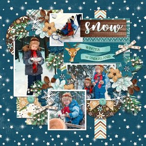 T. December days collection