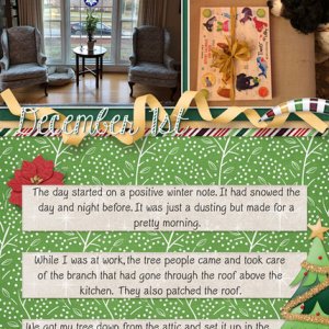 December Daily 2020 Dec 1