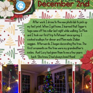 December Daily 2020 Dec 2