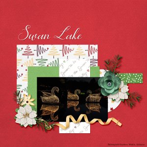 Swan Lake