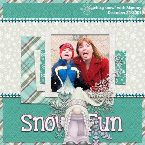 Snow Fun