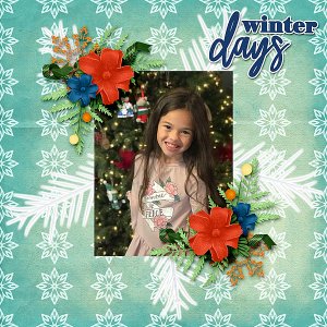 Winter_Days_Gallery_Size