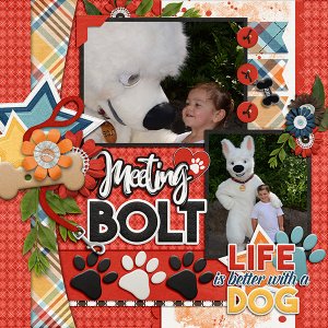 Bolt