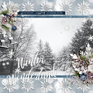 Winter Wonderland