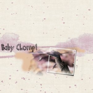 Baby Chomp!