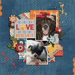 You Can't Buy Love But You Can Rescue It