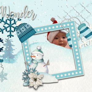 Winter Wonder