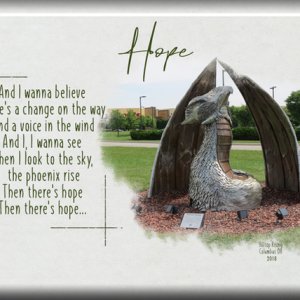 ATC 2020-163 Hope
