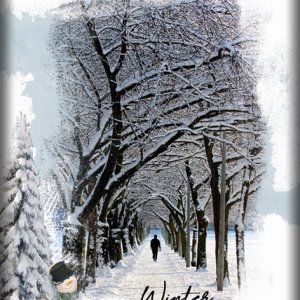 ATC2020-165 Walking in a Winter Wonderland
