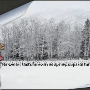 Winter