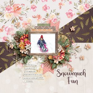 Snowmuch Fun