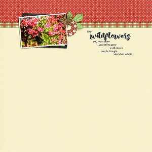 Wildflowers