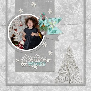 Christmas Wishes