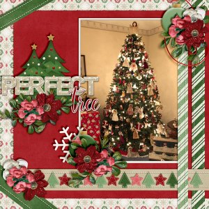 Perfect-Tree1