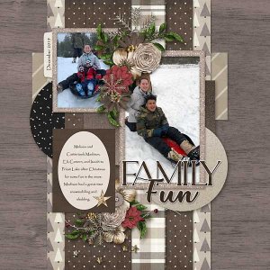 12_Sledding-copy1