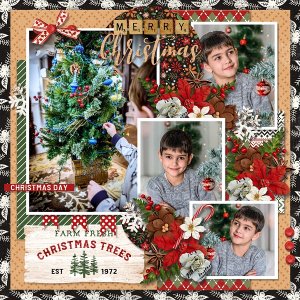 T. Everyday memories 10 - Christmas time