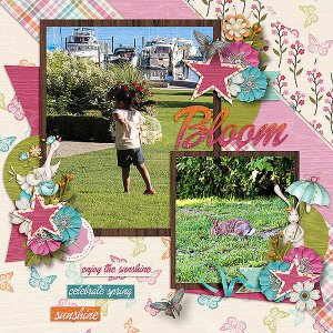 Bloom