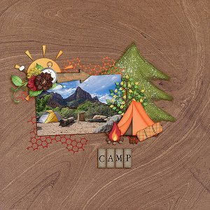 Camp
