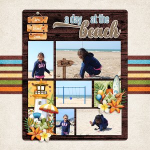 A Day At The Beach