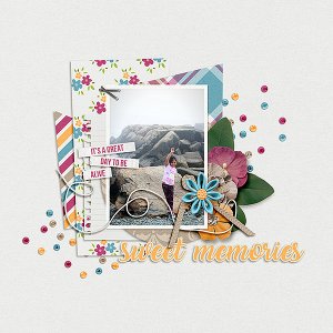 Sweet Memories