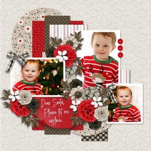 Boho Christmas