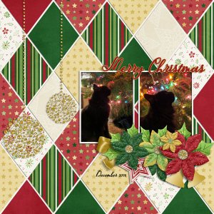 Christmas kitty