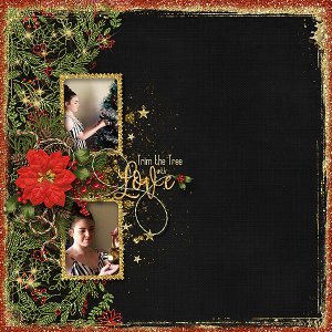 Trim the Tree with Love
