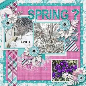 March-Snow-copy