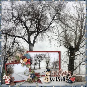 Warm Wishes