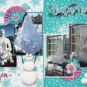 Snowfest 2018