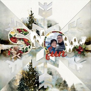 Snow Fun