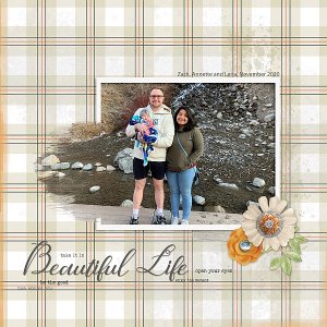 Beautiful Life