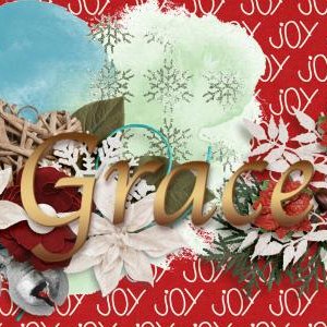 December siggy