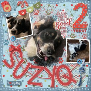 Happy Birthday SuzyQ!