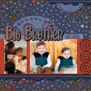 Big Brother Est 2019