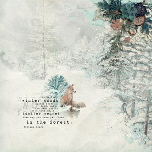 Winter Woods