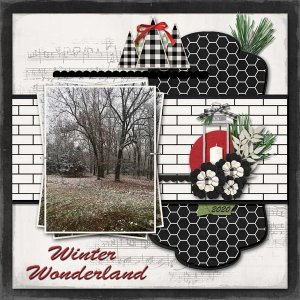 Winter Wonderland