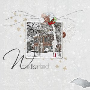 Winter Wonderland