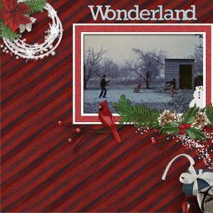 Winter Wonders