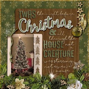 ~Twas the Night Before Christmas~