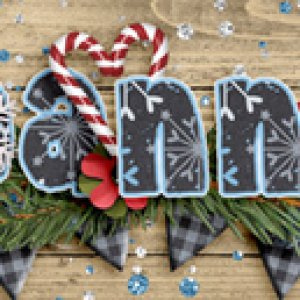 December 2020 Siggie