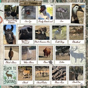 GSDesignerSpotlight1220-BVScavengerHUnt12420-Right