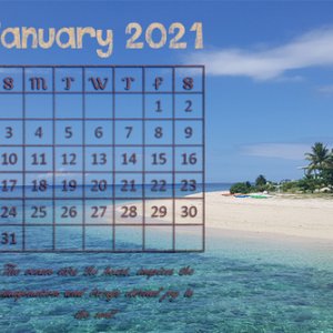 January 2021 Calendar
