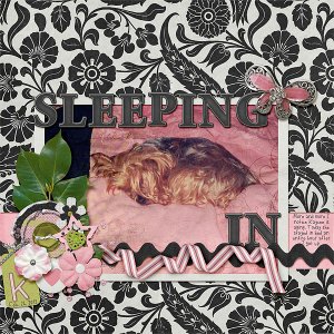 035-02-12-SleepingInByCFALBRO