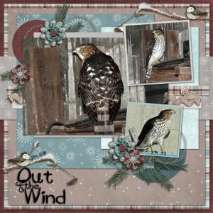 Out of the Wind